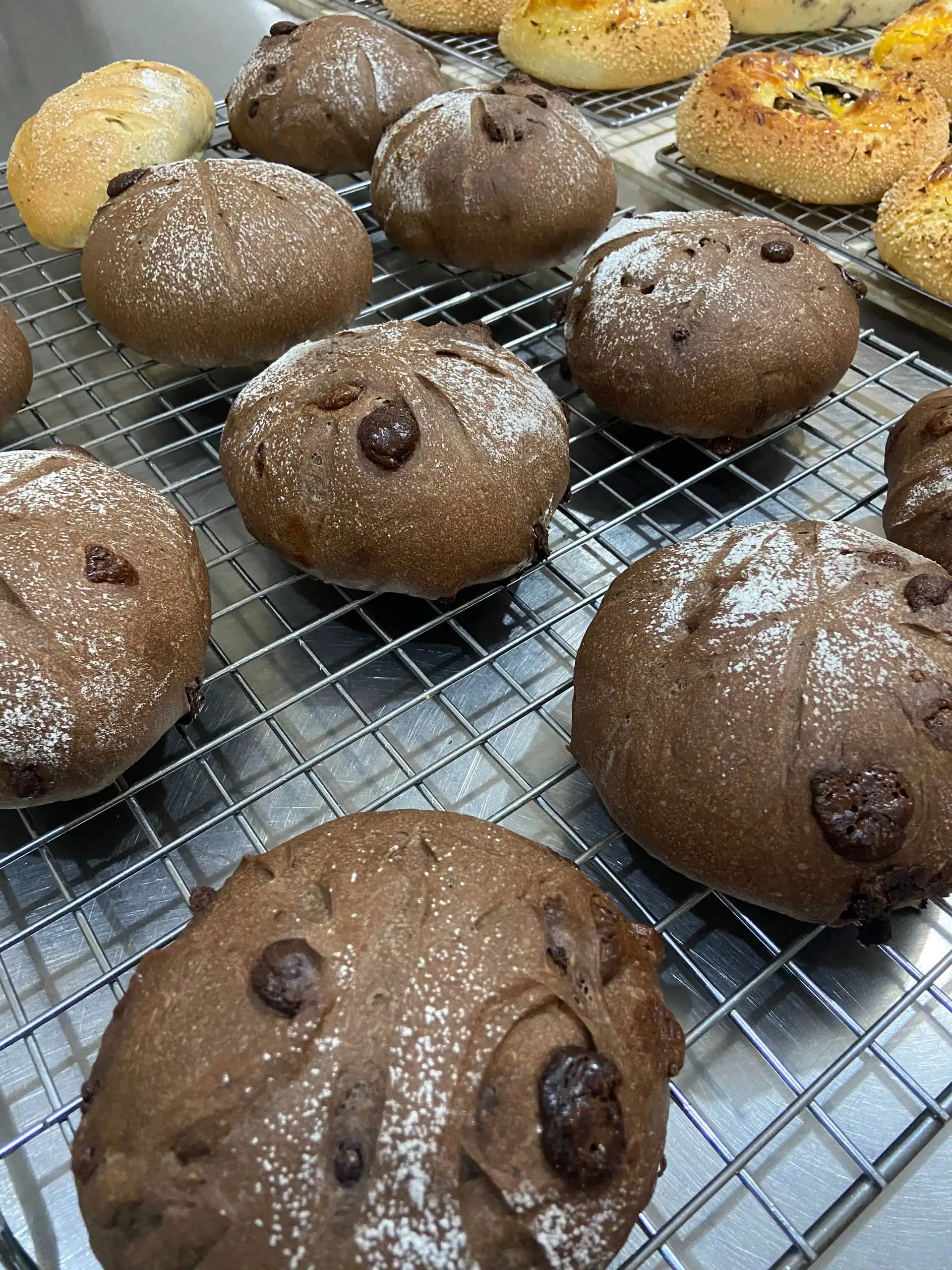 photo_2025-11-12_12-47-22